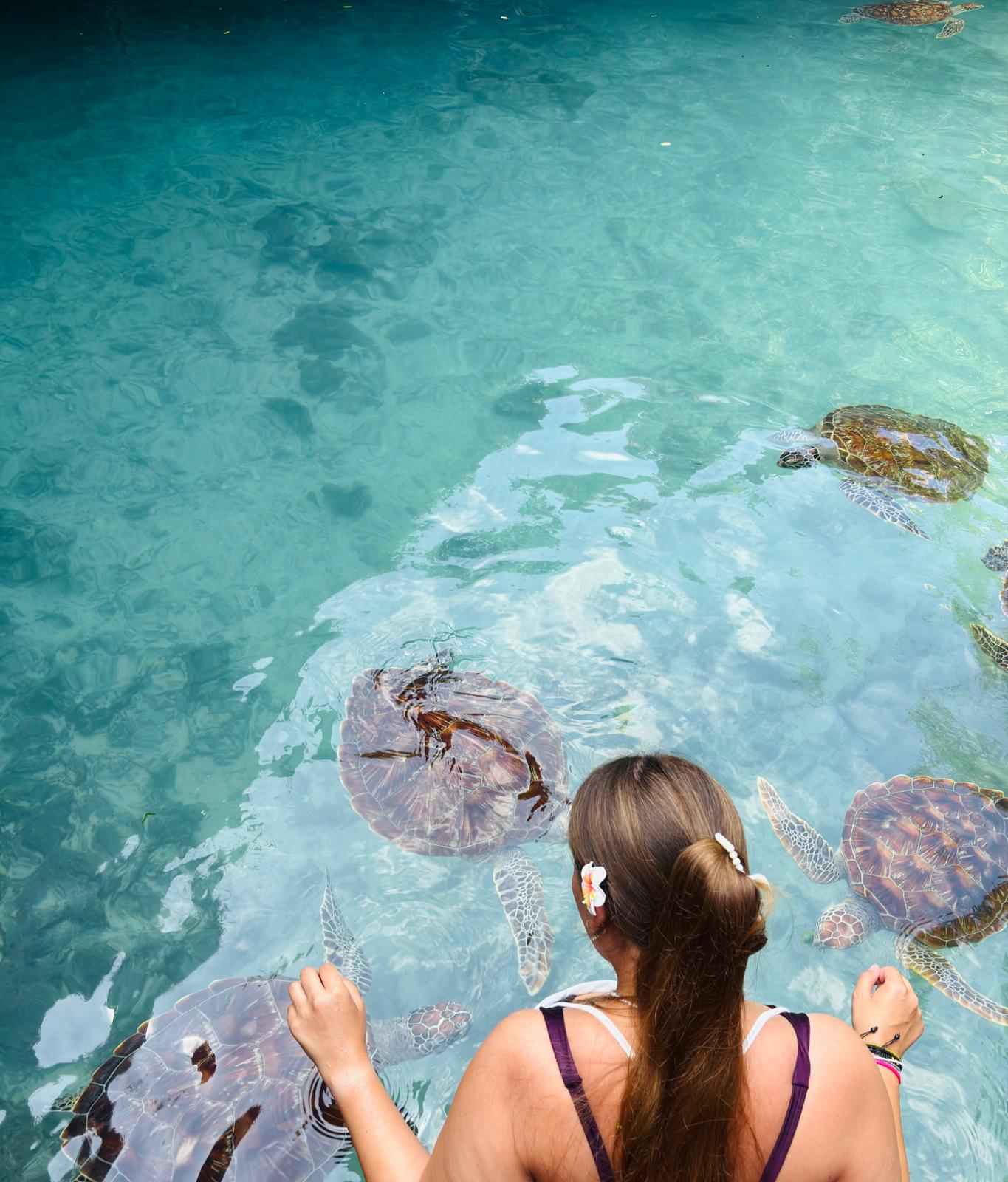 10 Best Things to Do in Zanzibar: Your Island Paradise Guide