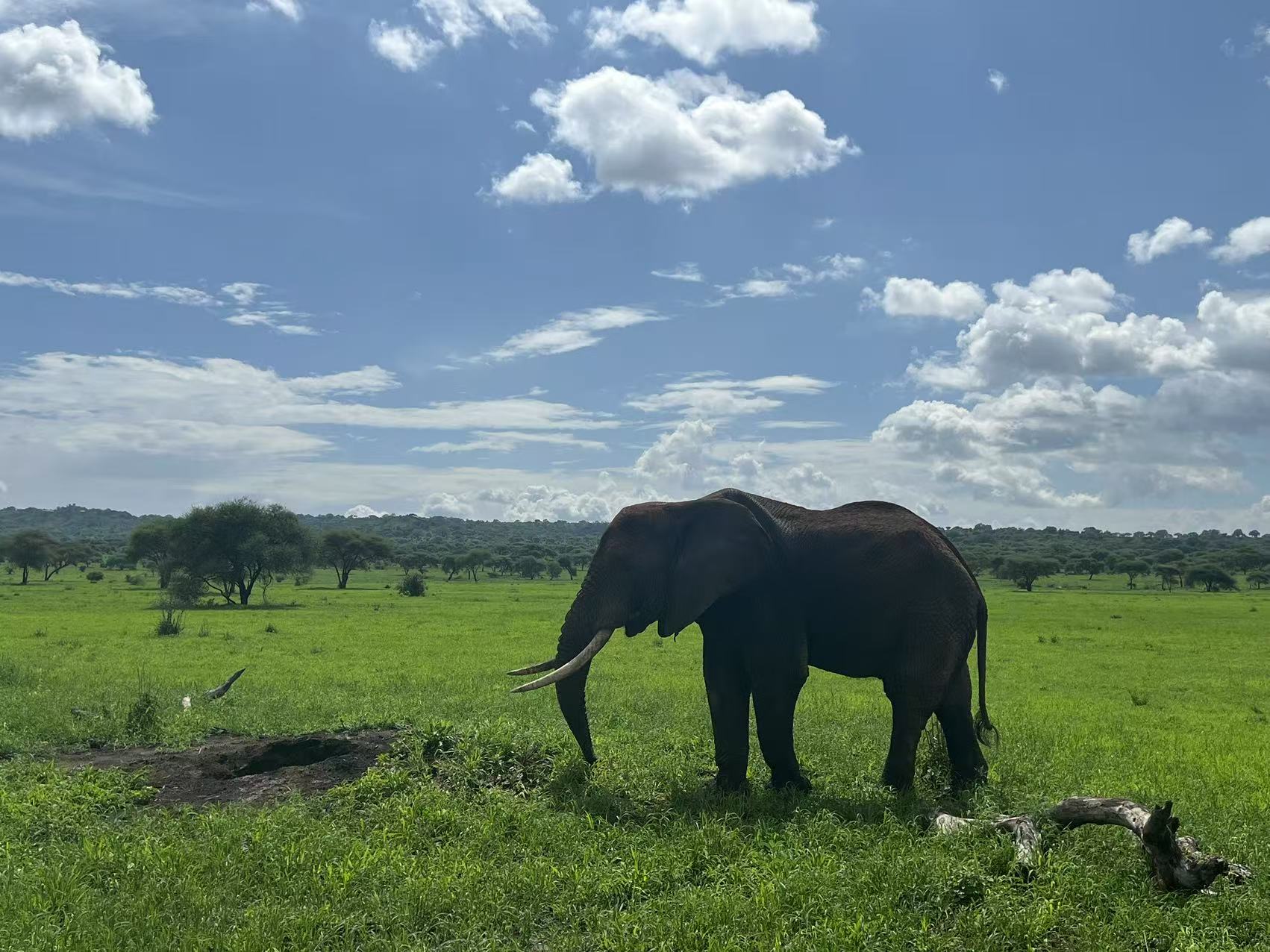 2-Day Tarangire & Ngorongoro Safari